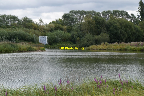 Photo 6"x4" The SE corner of the London Wetland Centre, Barnes Barnes c2017