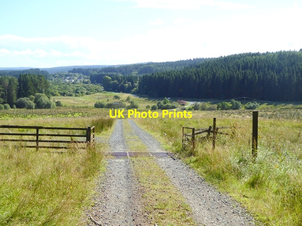 Photo 6"x4" Valley of the North Tyne near Lightpipe Kielder c2017