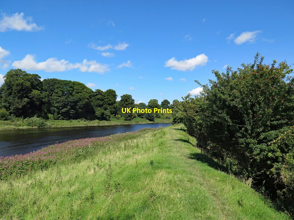 Photo 6"x4" Flood defences by River Tweed Horncliffe\/NT9249 c2017