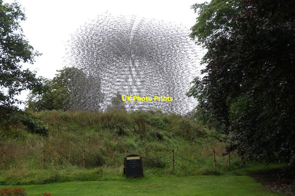 Photo 6"x4" Hive in the Royal Botanic Gardens, Kew Brentford c2017
