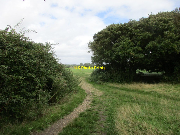 Photo 6"x4" Bend in the path Apuldram c2017