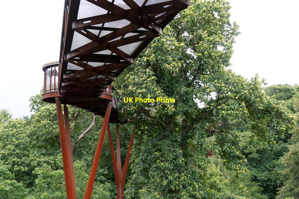 Photo 6"x4" The Treetop Walkway, the Royal Botanic Gardens, Kew Brentford c2017 P1