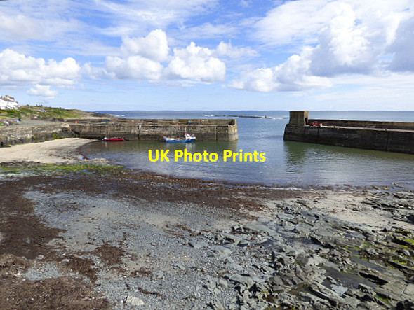 Photo 6"x4" Craster harbour Craster c2017