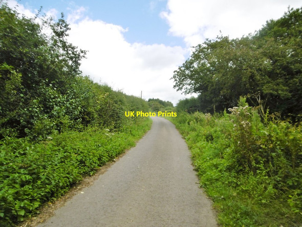 Photo 6"x4" Hinton St Mary, Leigh Lane Hinton St Mary c2017