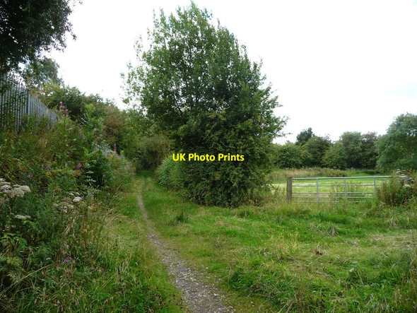 Photo 6"x4" Path heading south to Pye Bridge's Main Road Jubilee\/SK4452 c2017