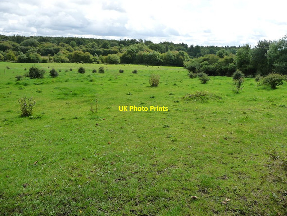 Photo 6"x4" Farmland on the west bank of the River Erewash Pye Bridge c2017