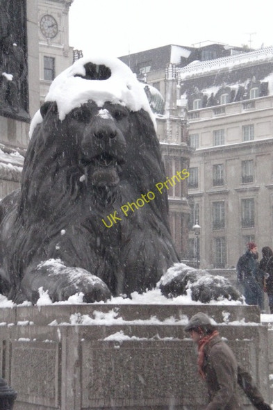 Photo 6"x4" Trafalgar Square Lion in the snow London c2009