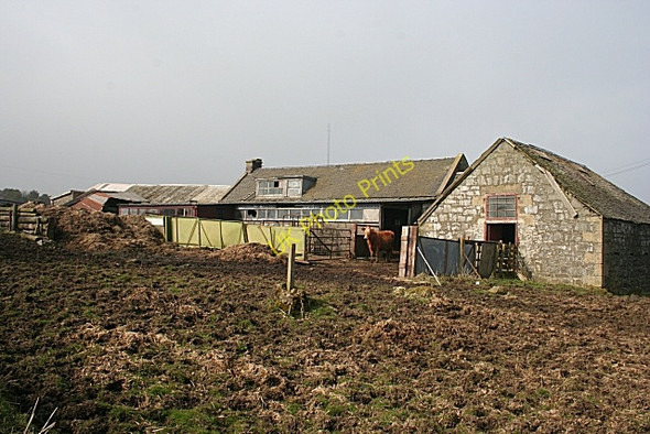 Photo 6"x4" Hirst Farm Hirst\/NS8663 c2009