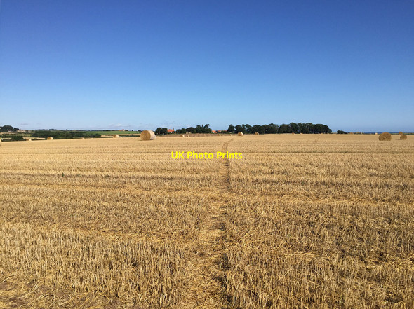 Photo 6"x4" The Northumberland Coast Path crossing a newly harvested field Seahouses c2017
