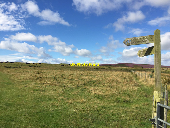 Photo 6"x4" Path junction at Fawcet Hill Detchant c2017