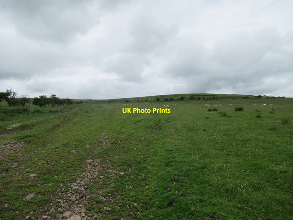 Photo 6"x4" Footpath towards Reaveley Hill Ingram c2017