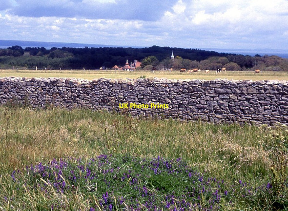 Photo 6"x4" Monastery roofs across the fields, Caldey Island Drinkim c1991