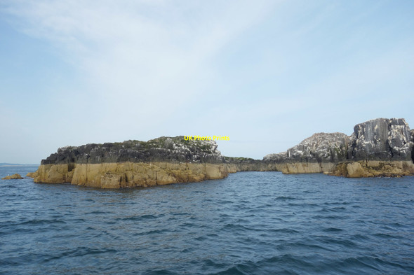 Photo 6"x4" Skeney Scar, Staple Island Brownsman c2017