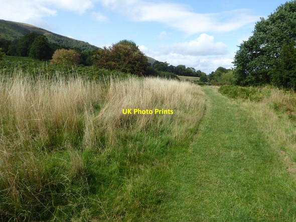 Photo 6"x4" Bridleway on Malvern Common Great Malvern c2017