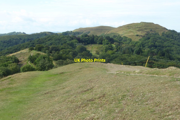 Photo 6"x4" View of the British Camp Brand Green\/SO7641 c2017