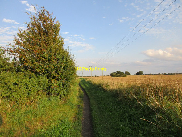 Photo 6"x4" Withernsea Rail Trail Hedon c2017