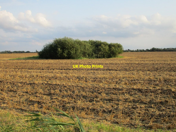 Photo 6"x4" Old pit Hedon c2017