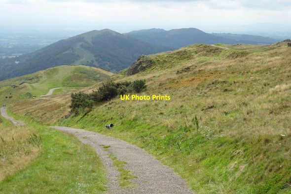 Photo 6"x4" Path descending from the Worcestershire Beacon Great Malvern c2017