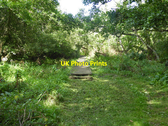 Photo 6"x4" Path towards Ashey Down Sandown c2017 P1