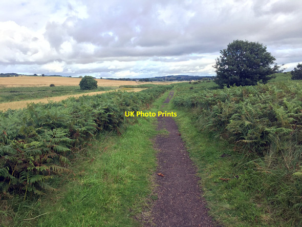 Photo 6"x4" Northumberland Coast Path towards Alnmouth High Buston c2017