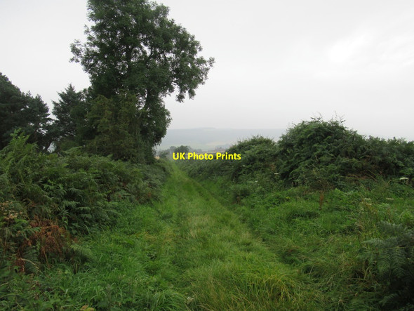 Photo 6"x4" Green Lane towards Weetwood Hall East Horton c2017