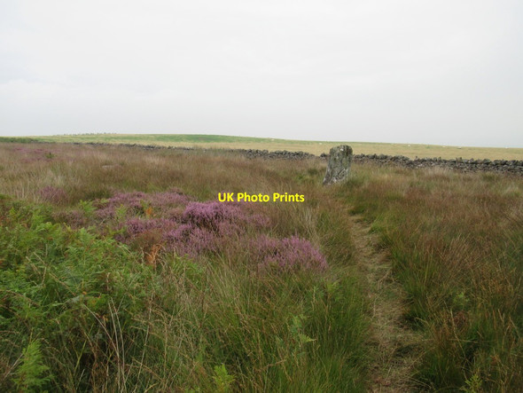 Photo 6"x4" Doddington Moor standing stones East Horton c2017 P1