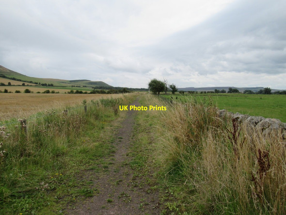Photo 6"x4" Cycle Route 68 towards Doddington Bridge Doddington\/NT9932 c2017