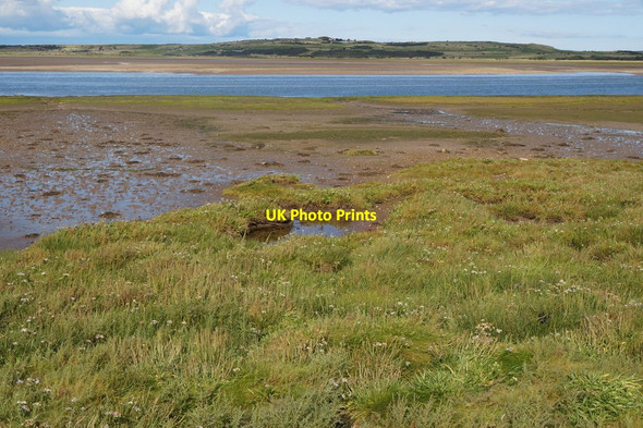 Photo 6"x4" Saltmarsh at Kilspindie, Aberlady Bay Craigielaw c2017