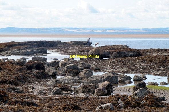Photo 6"x4" Exercising the dog at Aberlady Point Craigielaw c2017
