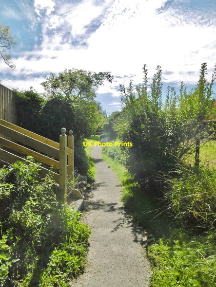 Photo 6"x4" Edington, footpath Edington\/ST9253 c2017