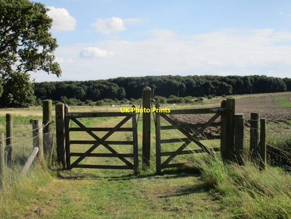 Photo 6"x4" Gates at the boundary Low Risby c2017