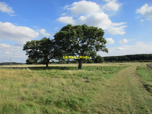 Photo 6"x4" Santon Warren Low Risby c2017