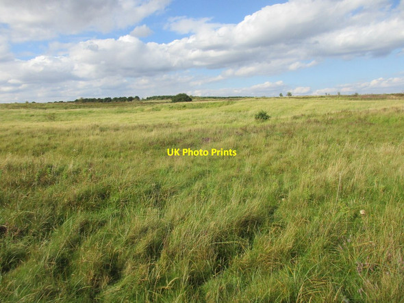 Photo 6"x4" Restricted area Santon\/SE9212 c2017