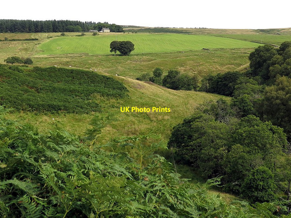 Photo 6"x4" Valley of Sills Burn towards Hillock Redesdale Camp c2017