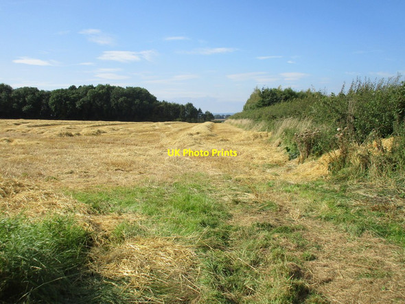 Photo 6"x4" Harvested field on Willerby Wold Foxholes\/TA0173 c2017