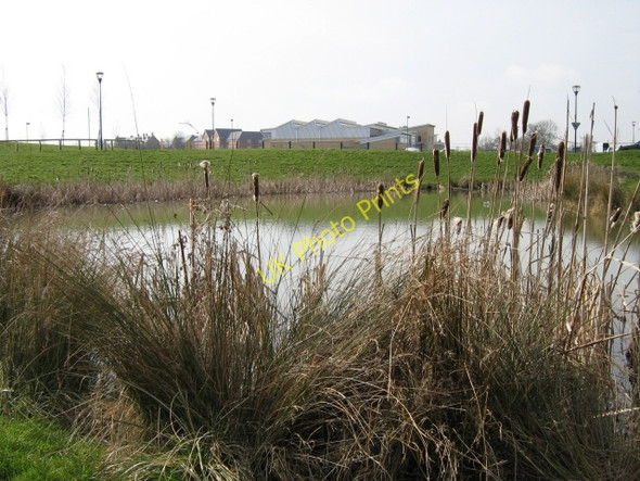 Photo 6"x4" No need to rush Medbourne\/SP8236 c2009