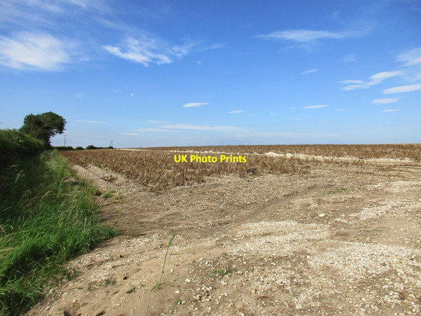 Photo 6"x4" Potato field above Flixton Flixton\/TA0379 c2017