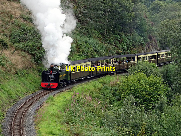 Photo 6"x4" No 8 on a train heading for Devil's Bridge Aberffrwd\/SN6878 c2017