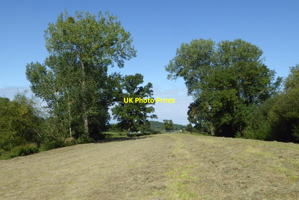 Photo 6"x4" Haymaking by the River Severn Severn Stoke c2017