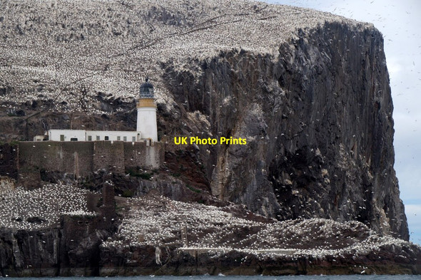 Photo 6"x4" Bass Rock lighthouse Bass Rock c2017 P1
