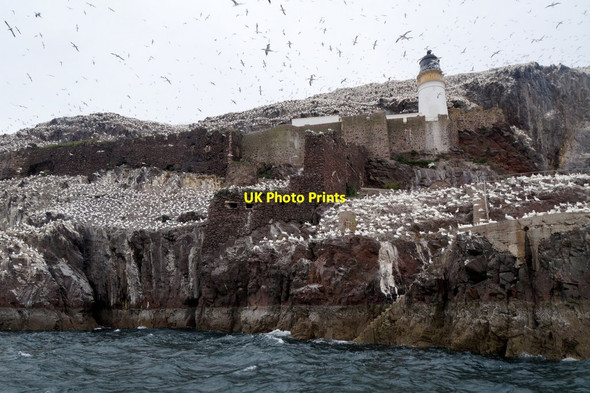 Photo 6"x4" Bass Rock lighthouse and castle Bass Rock c2017