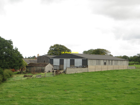 Photo 6"x4" West Lane End farm Morpeth c2017