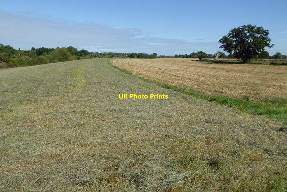 Photo 6"x4" Riverside farmland Rhydd c2017