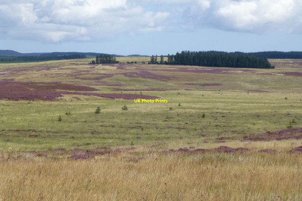 Photo 6"x4" Looking across Middle Hill Raylees c2017