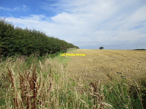 Photo 6"x4" Stubble field above Flixton Flixton\/TA0379 c2017