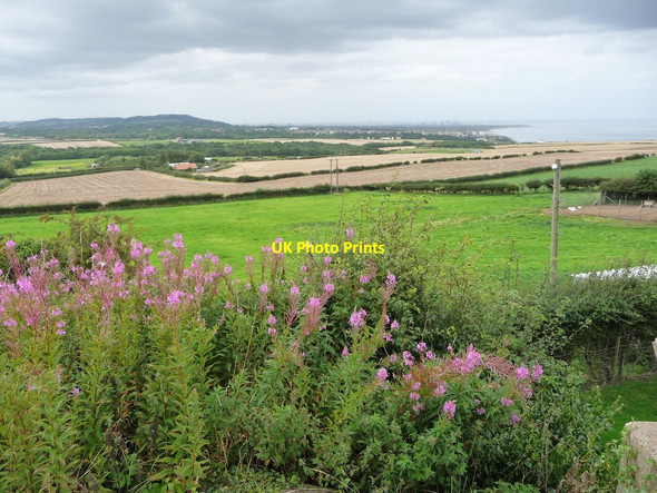 Photo 6"x4" Fields between Barns Farm and Shepherd's House Brotton c2017