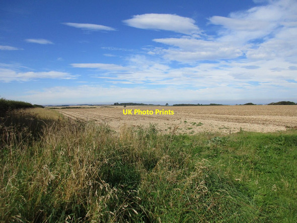 Photo 6"x4" Potato field on Ganton Wold Ganton c2017