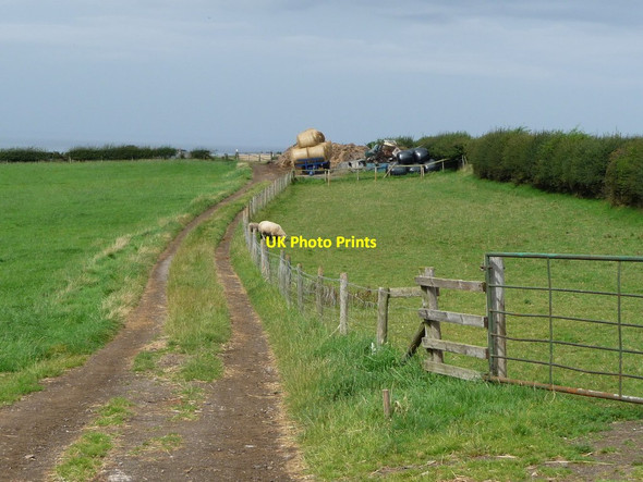 Photo 6"x4" Public footpath to the cliffs, north of Brotton Brotton c2017