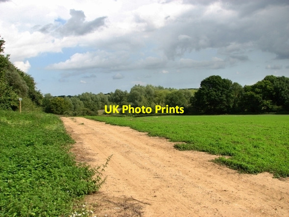 Photo 6"x4" Farm track on the edge of a crop field Kirby Bedon c2017