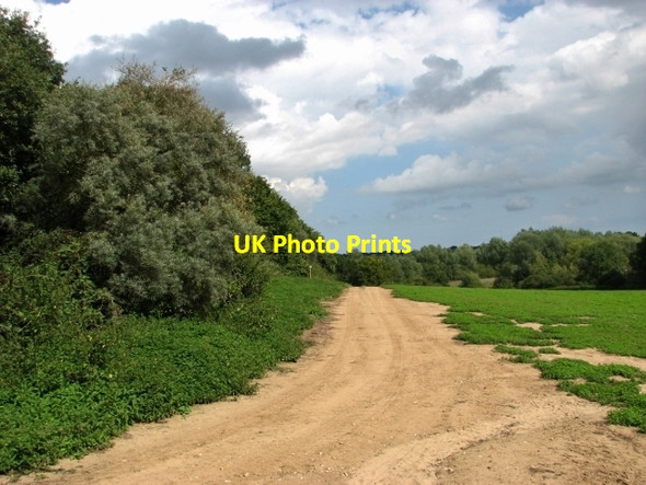Photo 6"x4" Crop fields by Kirby Bedon Kirby Bedon c2017